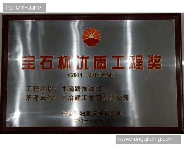 深圳排球队的转型升级之路探索与未来展望